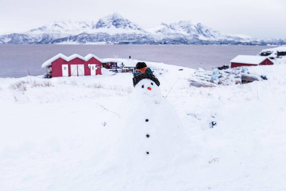 dyrøy holiday norway in winter snow in december