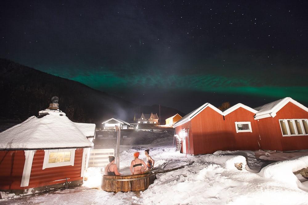 northern lights dyrøy norway