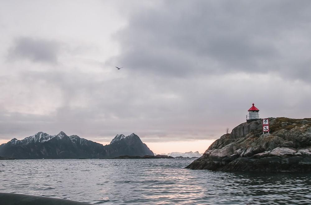 trollfjord lofoten safari winter