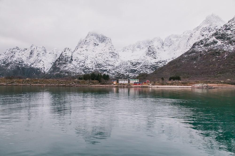 eagle sea safari lofoten explorer in winter december