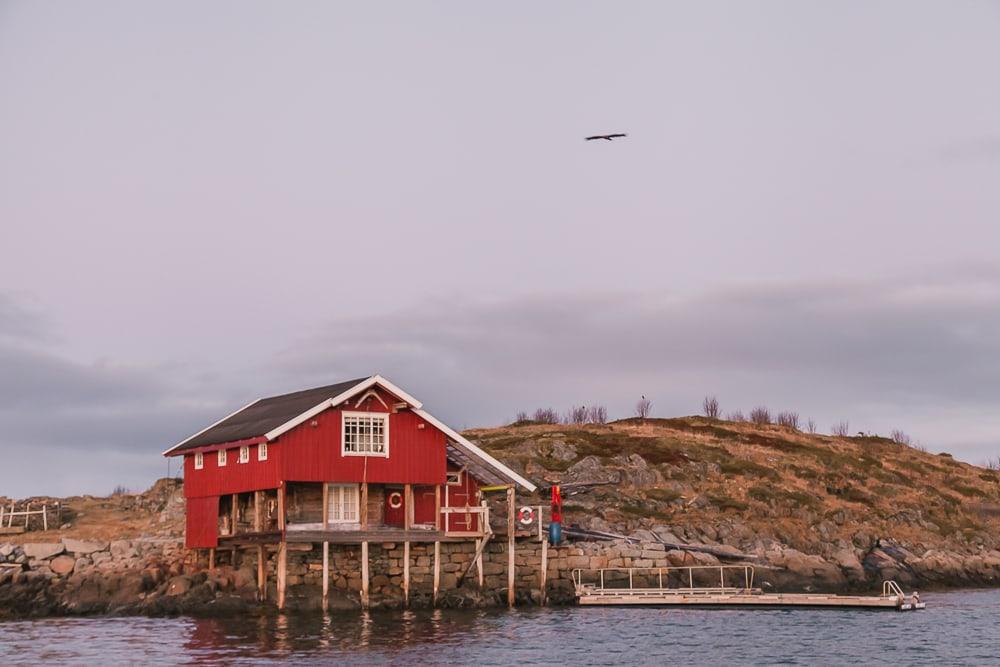 lofoten rib boat trips winter in norway