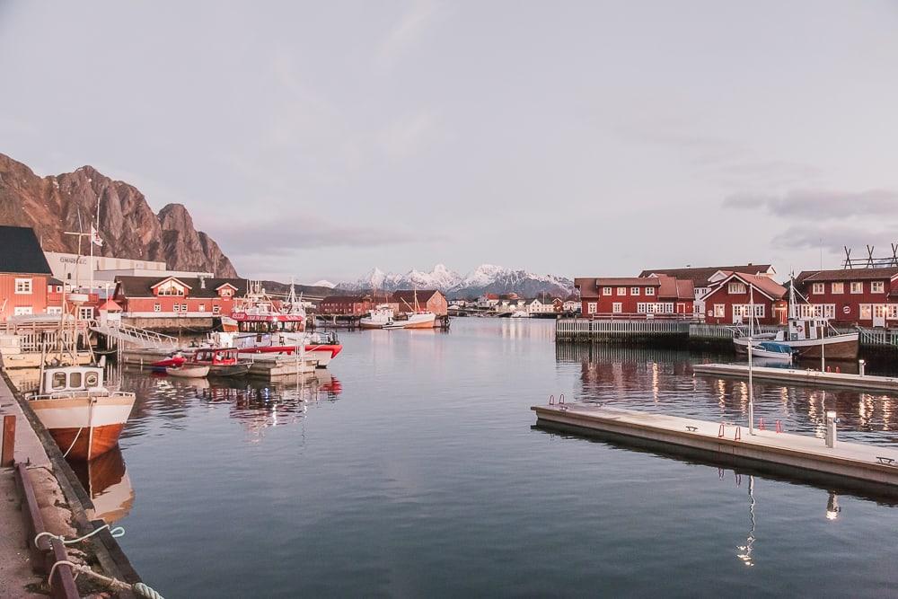 svinya svolvaer lofoten norway