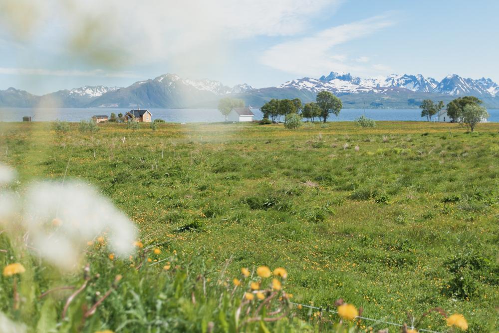 Vesterålen Islands Norway