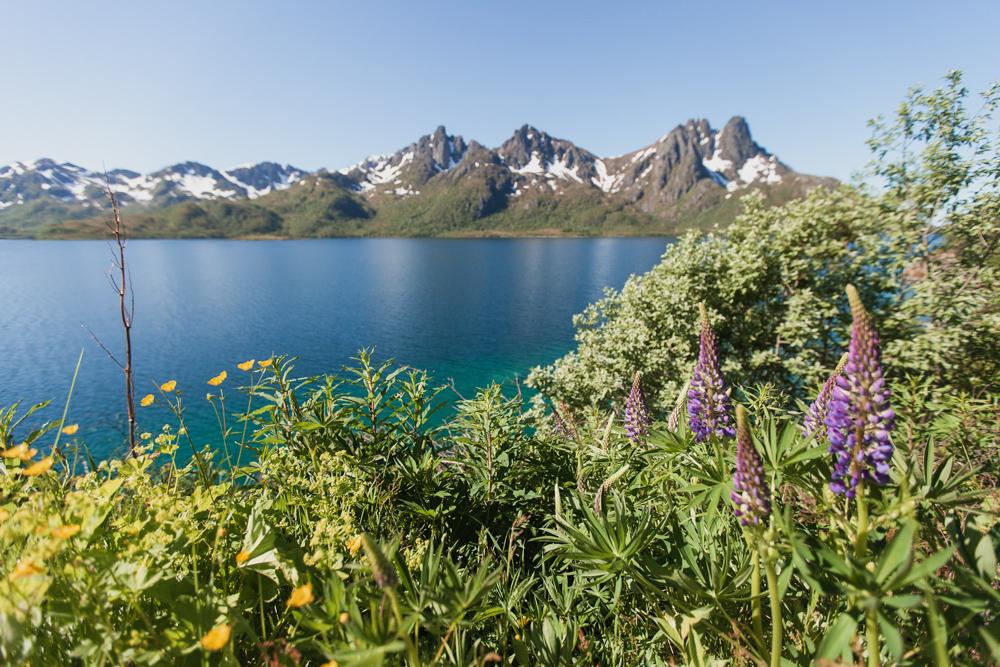 Vesterålen Islands Norway