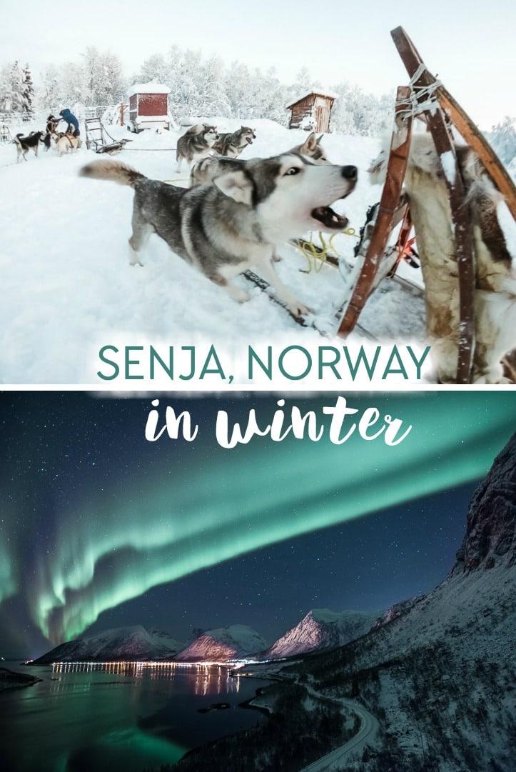Winter in Senja, Norway, including husky sledding and chasing the Northern Lights in Norway