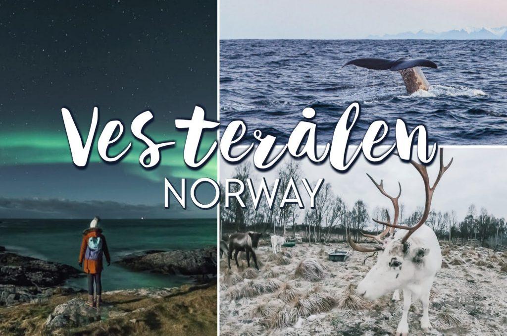 7 Reasons To Add Vesterålen to Your Northern Norway Itinerary - Heart ...