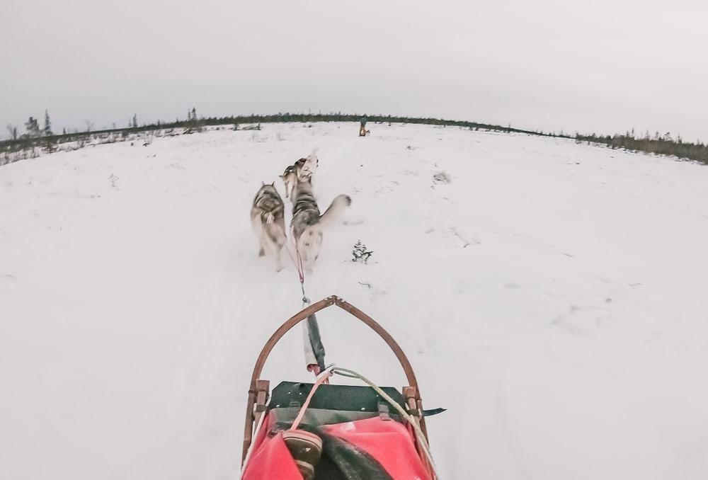 husky sledding in kiruna sweden airbnb