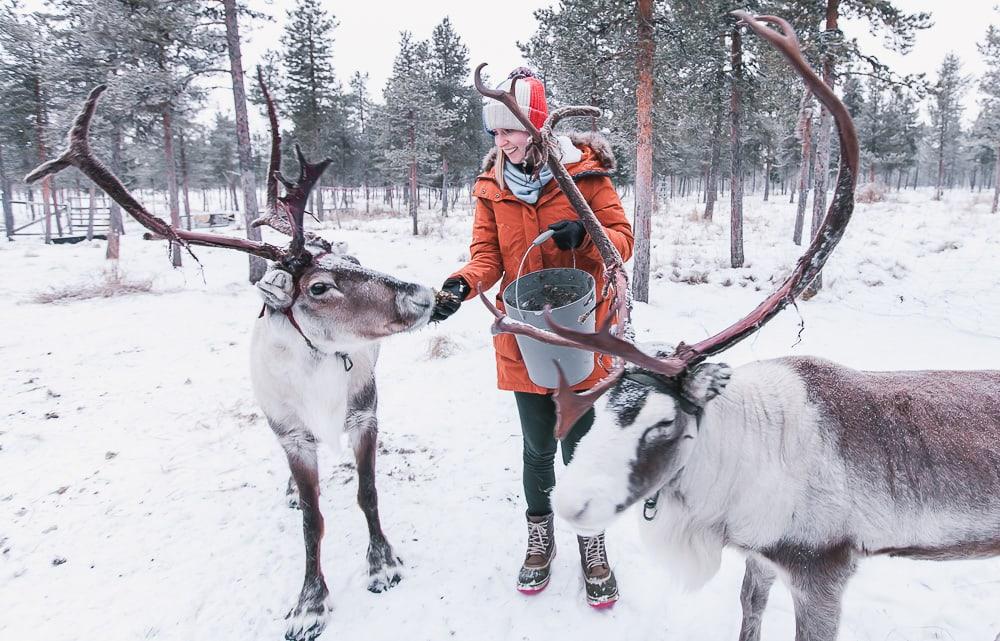 reindeer lodge nutti sami siida sweden