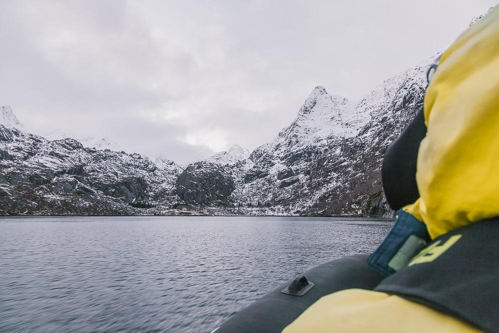 RIB boat norway lofoten safari