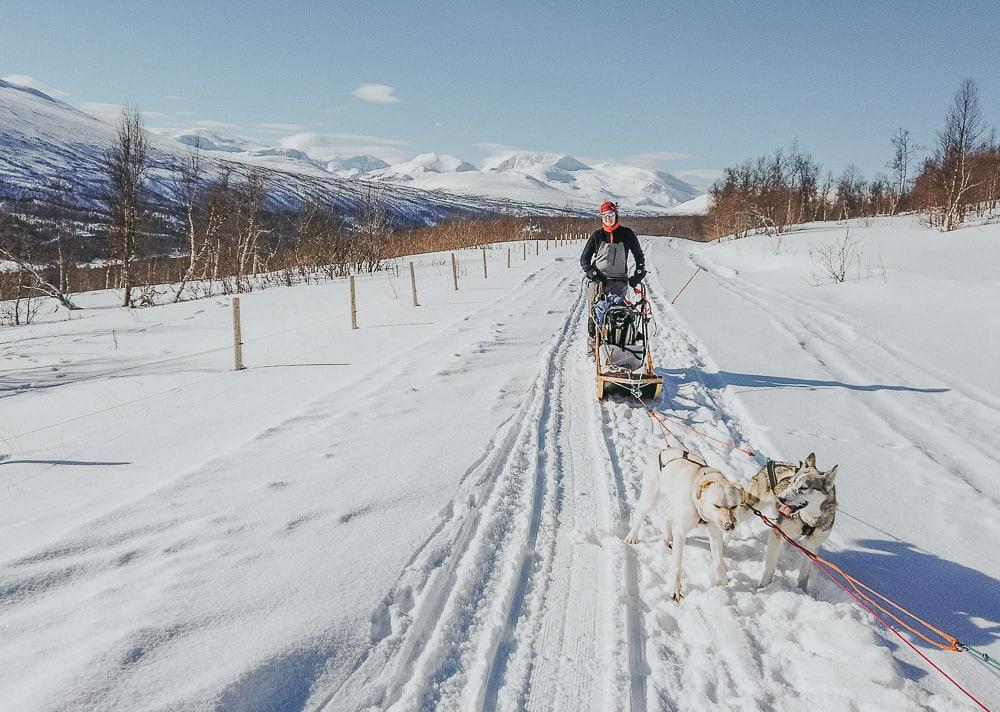 Aaslid Polar huskies susendal hattfjelldal helgeland norway