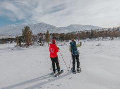 snowshoeing in helgeland