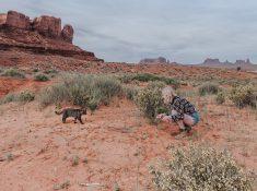 monument valley