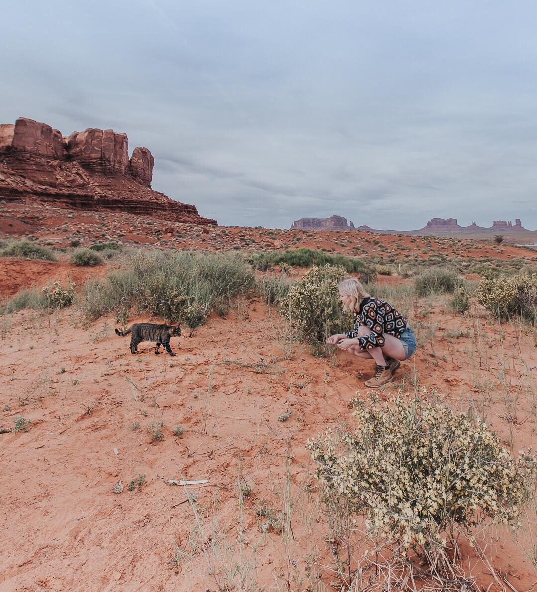 monument valley