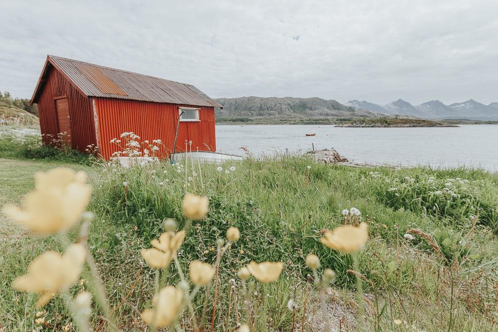 dønna helgeland coast norway in summer red cabin with flowers