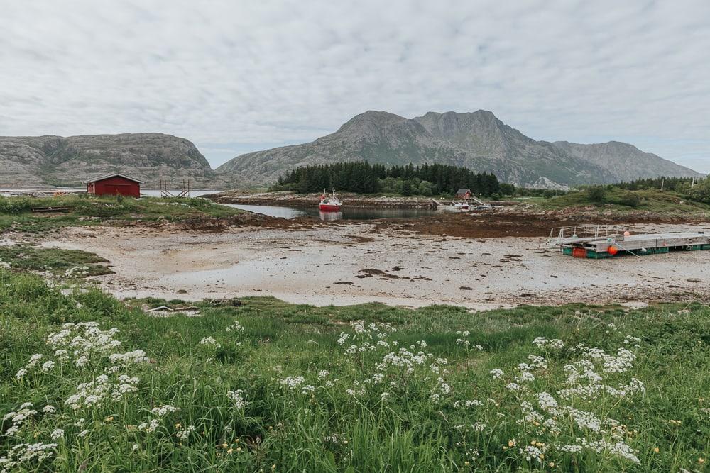 herøy, helgeland coast norway in summer