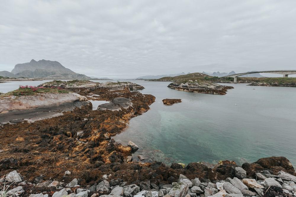 herøy, helgeland, norway in summer