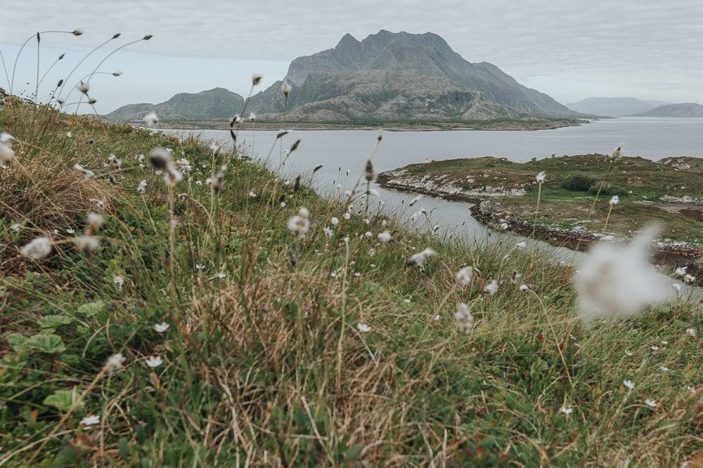 herøy, helgeland coast norway in summer