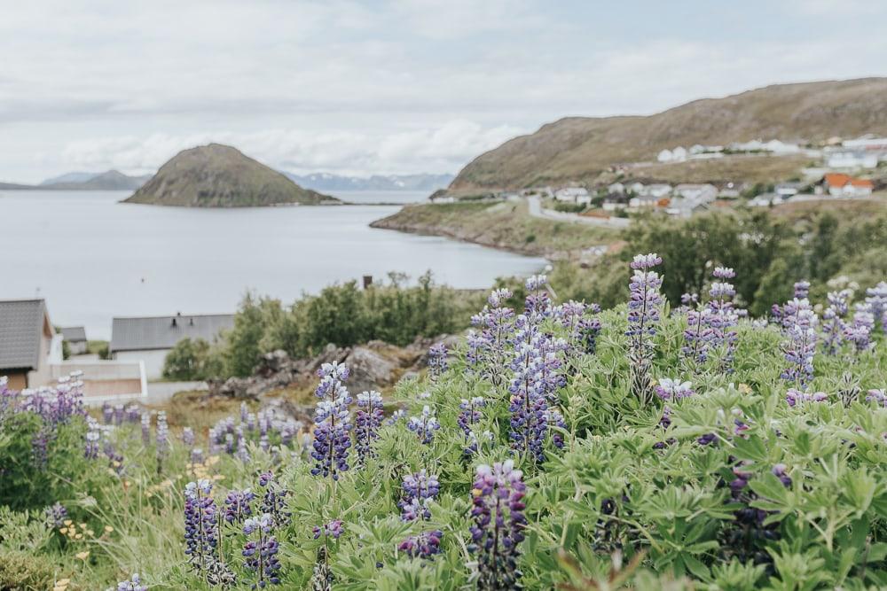 summer in hammerfest norway