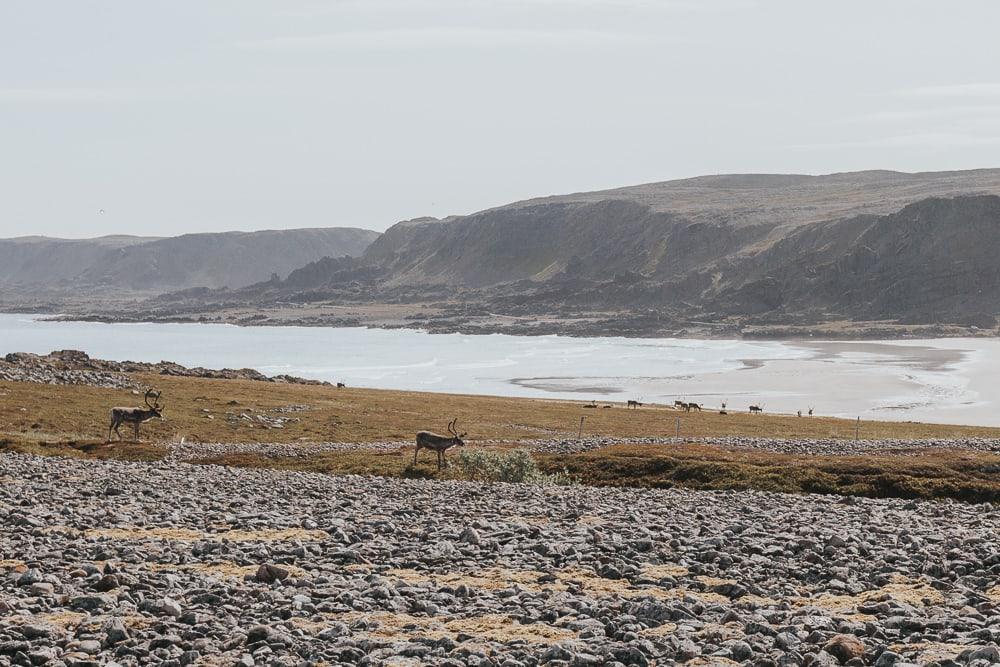 varanger national tourist route norway