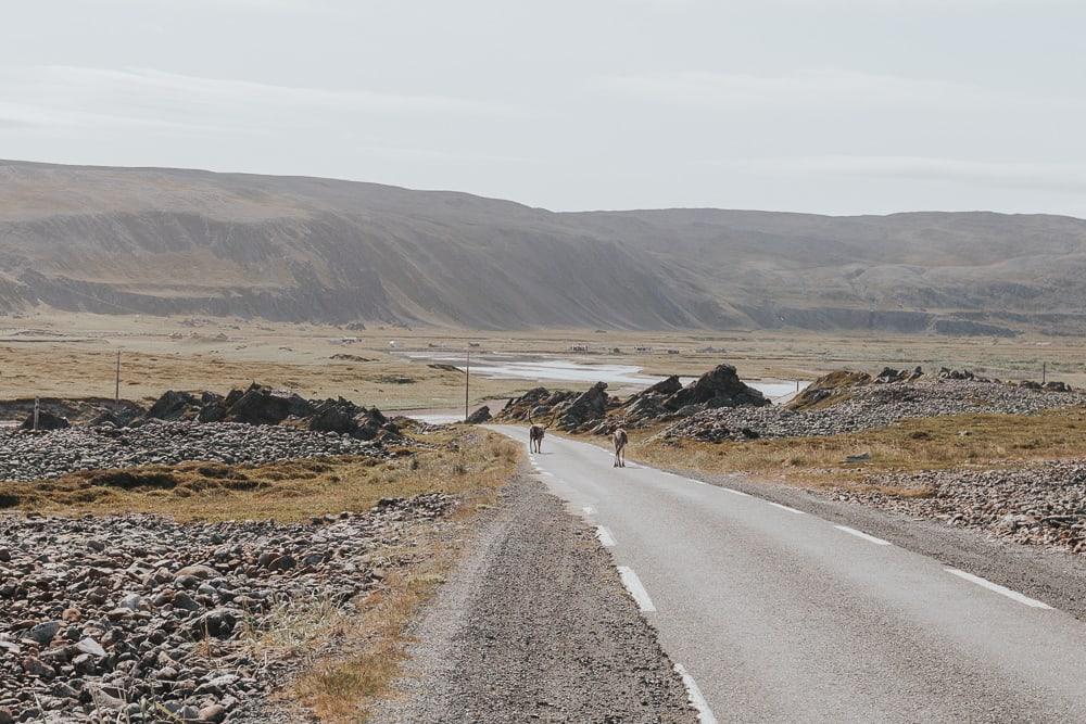 varanger national tourist route norway