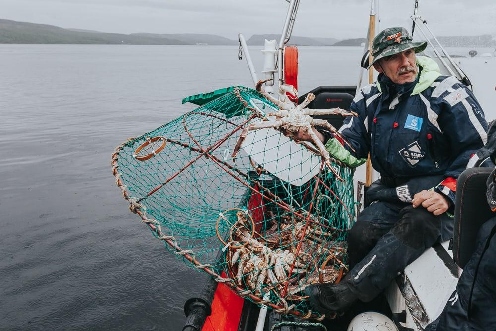 king crab safari kirkenes