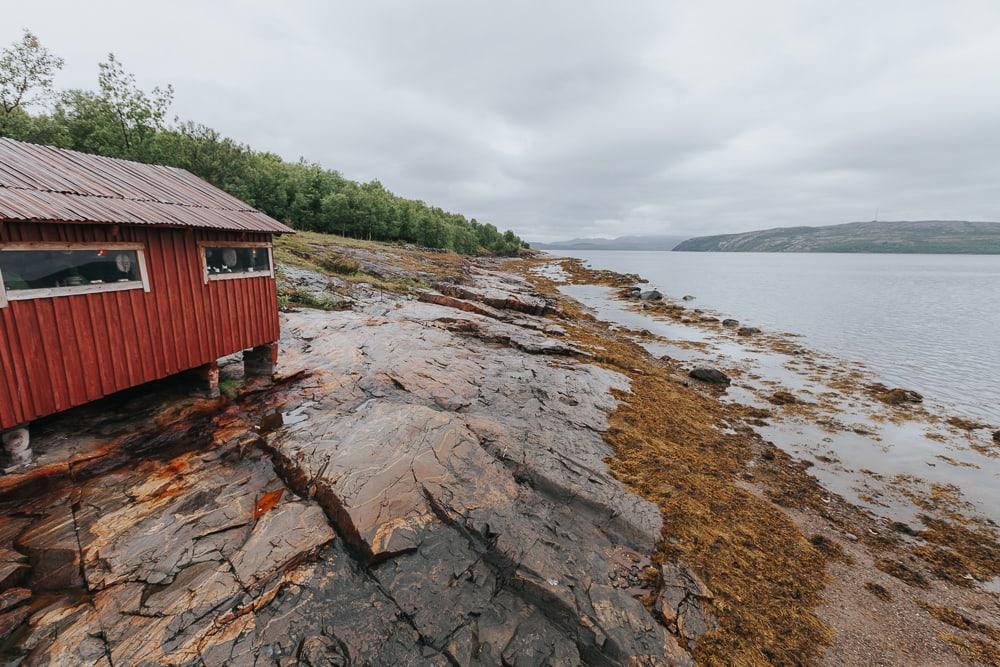 king crab safari kirkenes norway