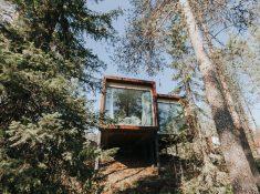 arctic treehouse hotel rovaniemi finland in summer