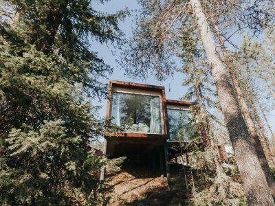 arctic treehouse hotel rovaniemi finland in summer