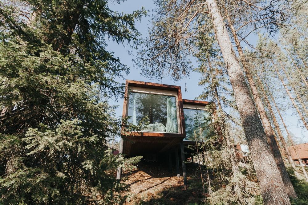 arctic treehouse hotel rovaniemi finland in summer