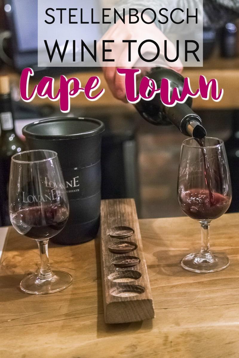 wine flies stellenbosch wine tasting tour from cape town south africa