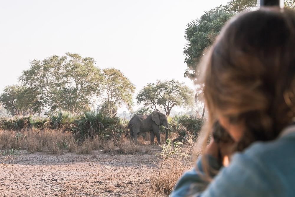 gorongosa national park safari mozambique