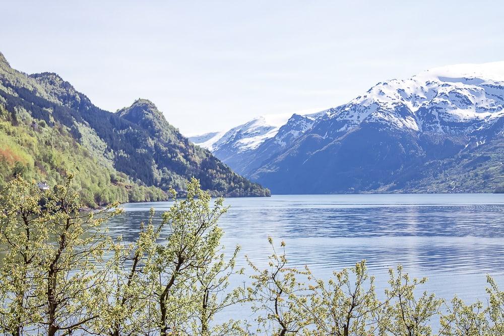 hardangerfjord in bloom norway in may