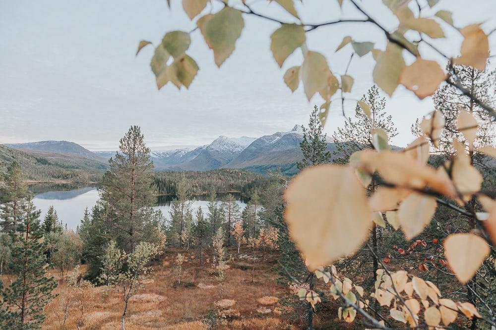 fall colors in Helgeland, Norway