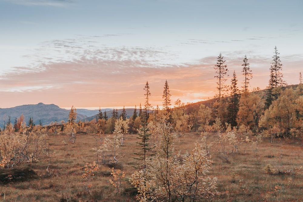 helgeland northern norway in autumn