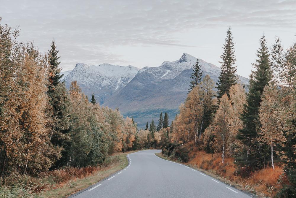 helgeland northern norway in autumn