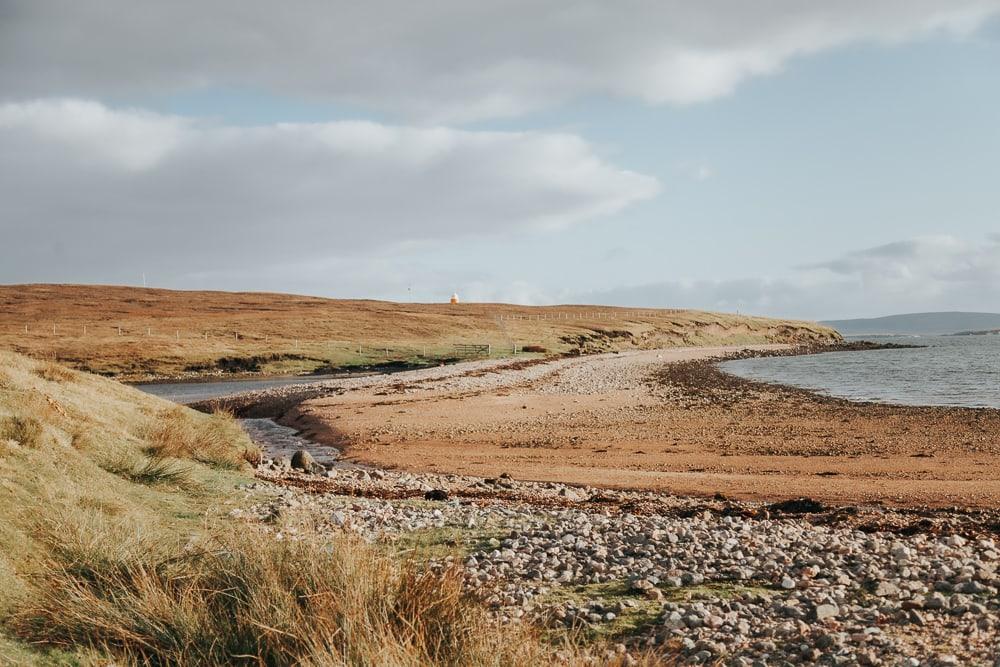 shetland photo tours wildlife walk