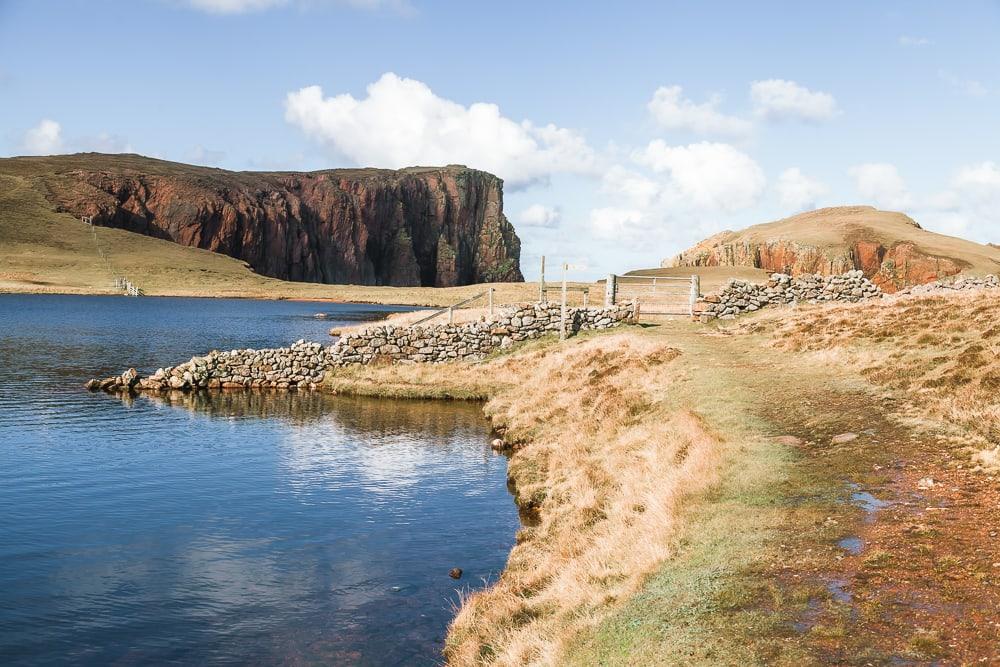 hams of roe on muckle roe coastal walk shetland