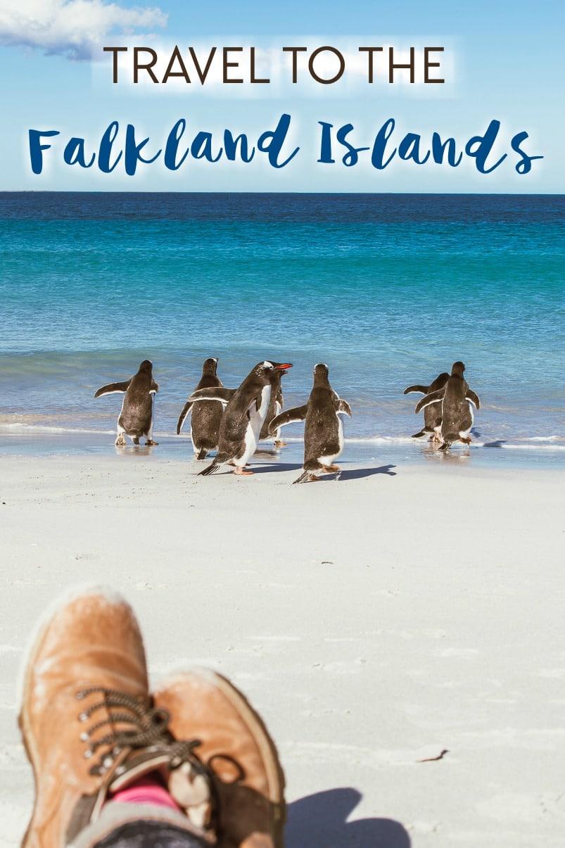 travel to the falkland islands