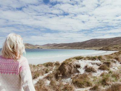 falkland islands beaches carcass island