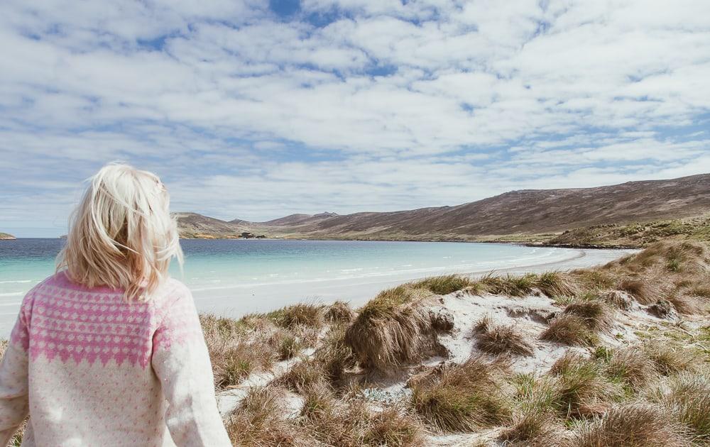 falkland islands beaches carcass island