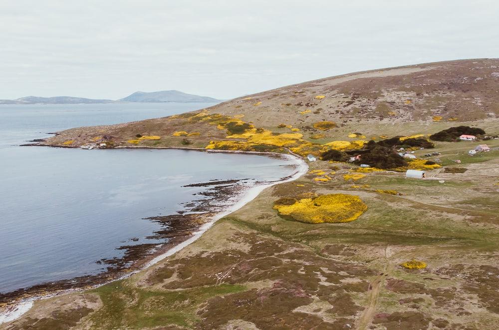 carcass island beaches drone shot falklands