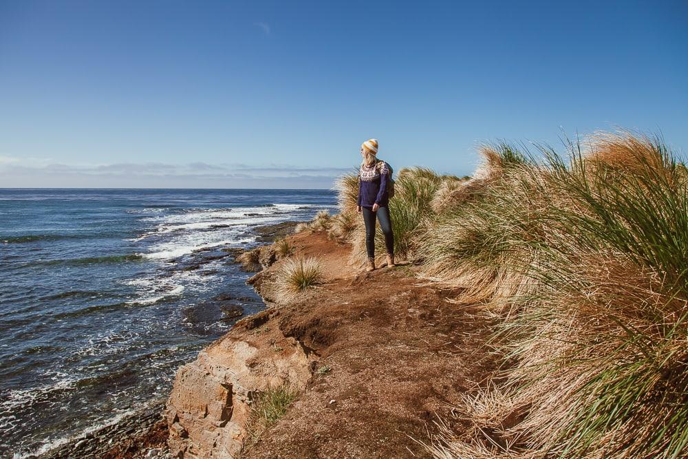 solo travel in the falklands