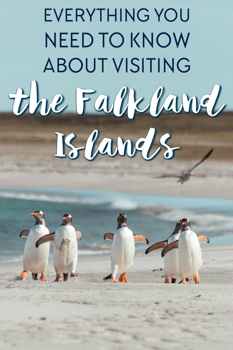 How to visit the Falkland Islands Guide