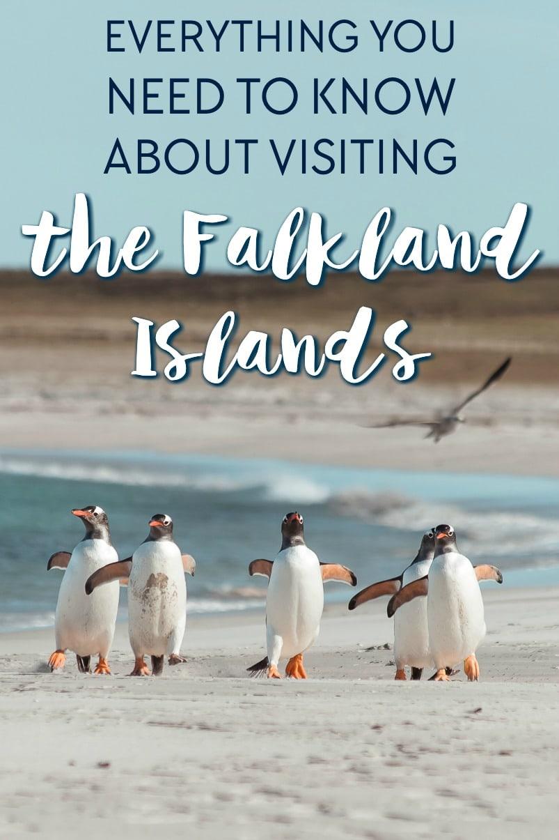 falkland islands tour guide