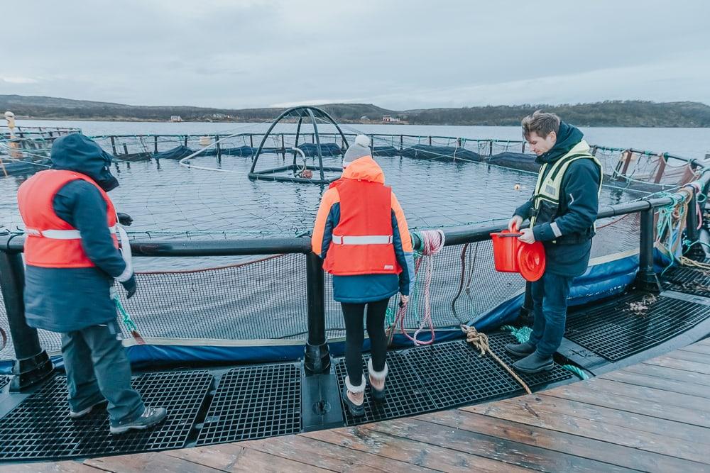 aquaculture center brønnøysund norway