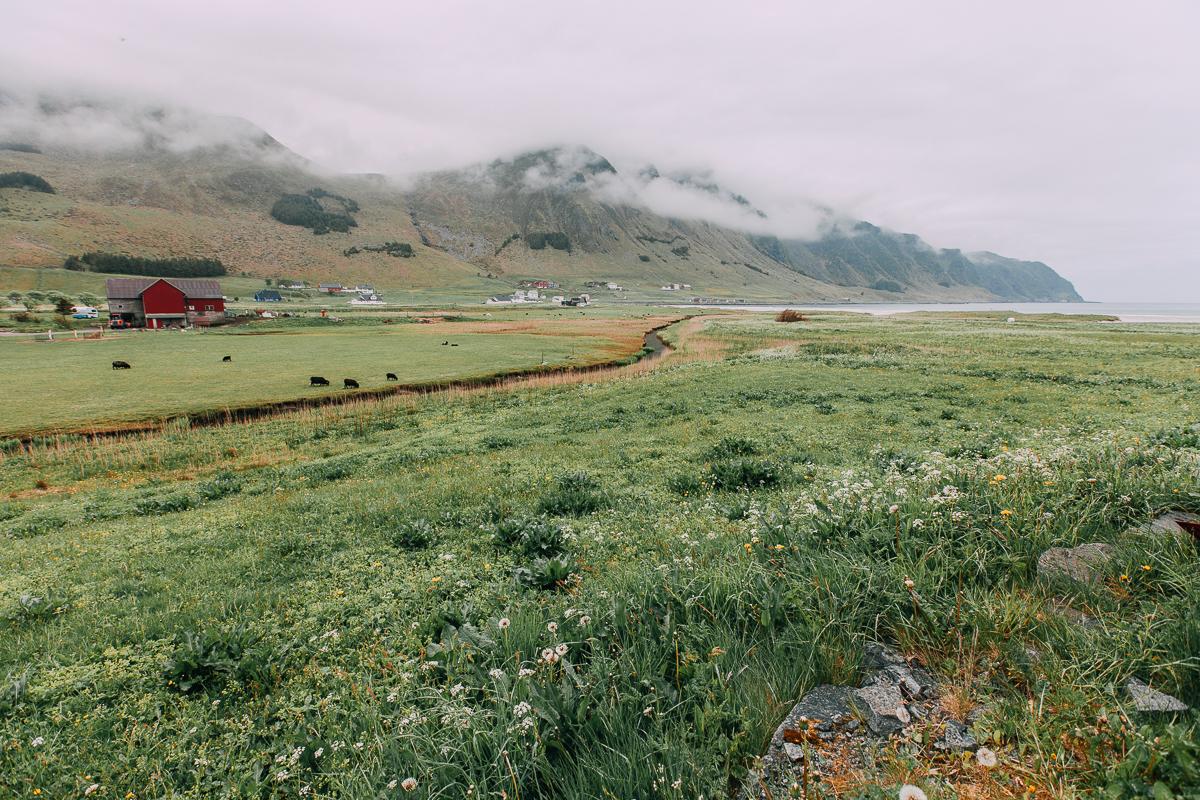 vågsøy vestland norway landscape