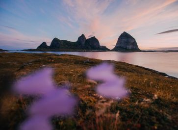 wild camping on husøya, træna, Norway