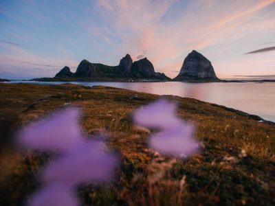 wild camping on husøya, træna, Norway