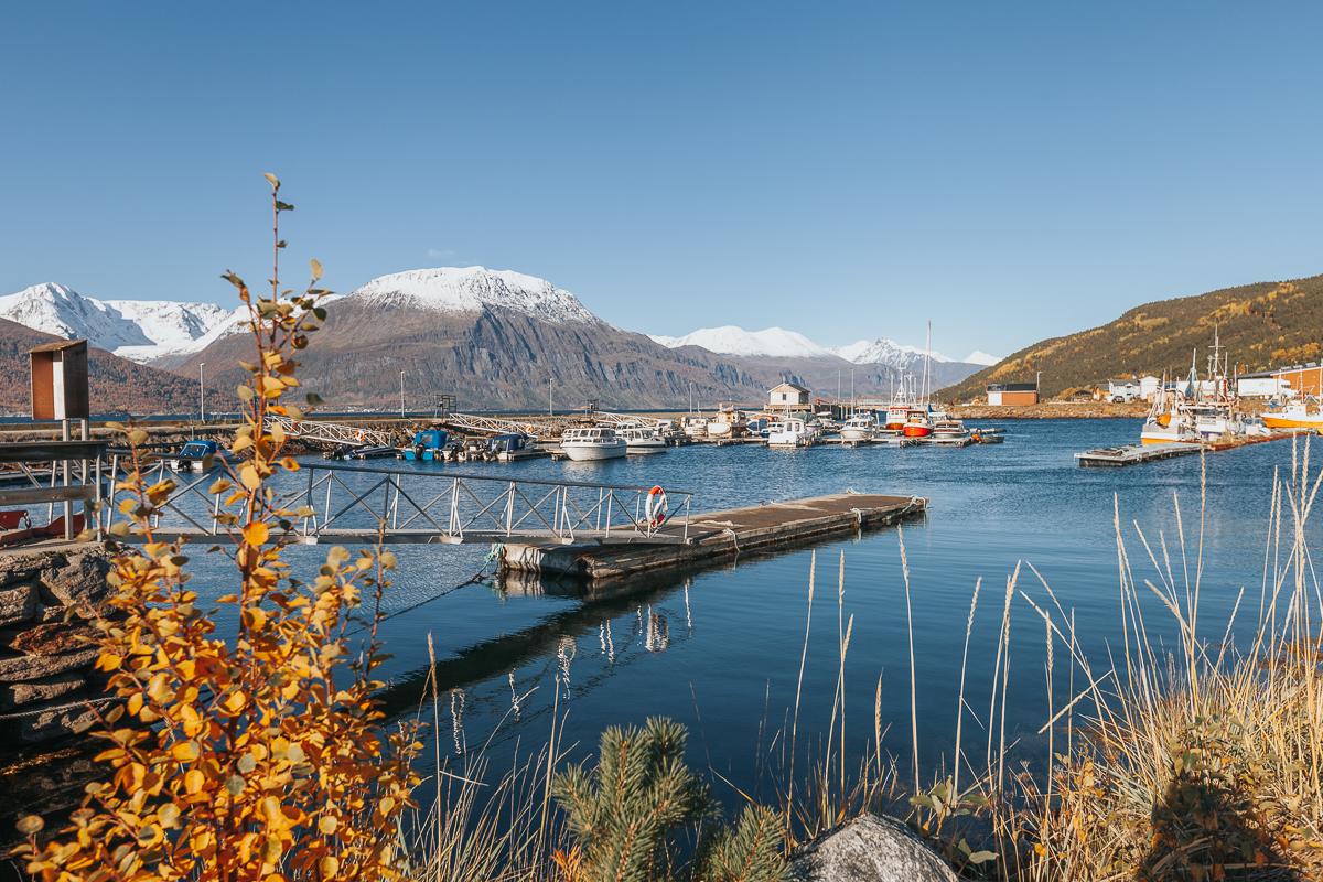 lyngenfjord norway in autumn norway