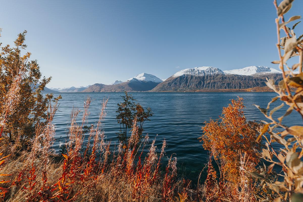 lyngenfjord in autumn norway